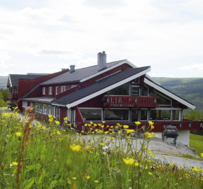 Lia Fjellhotell Geilo